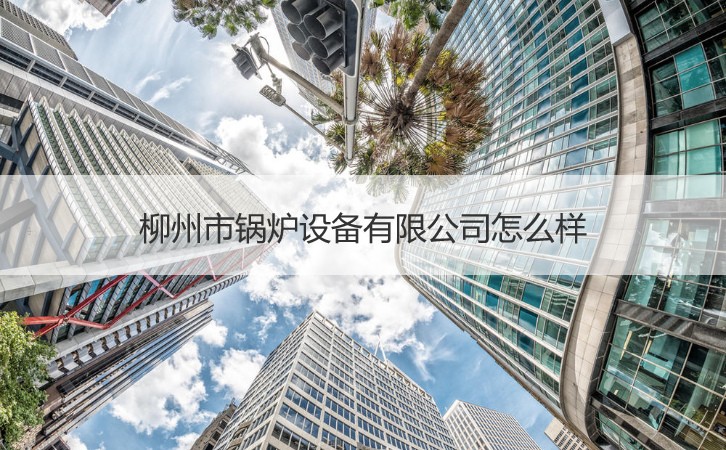 柳州的產業機遇 鍋爐設備、就業環境與針紡原料銷售分析